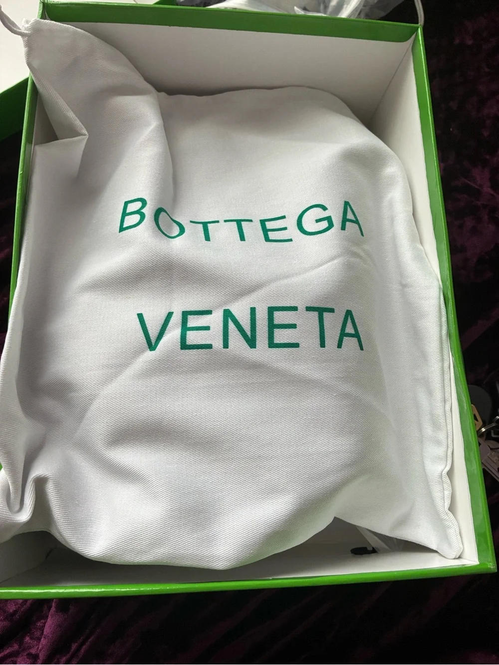 Bottega Veneta Silver Mesh and Metallic Runner with Gum Sole
